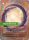 Mystic Reversal OGN-080/298